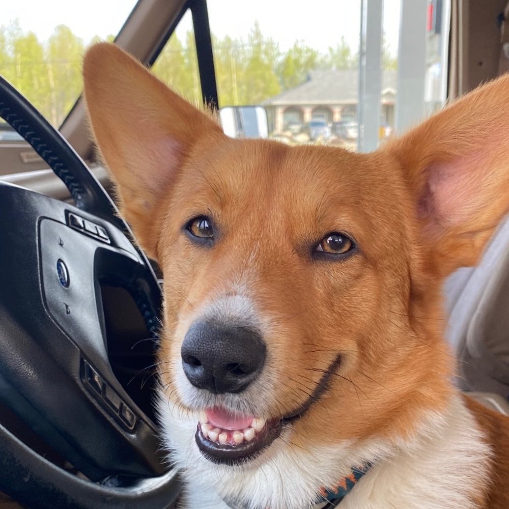 Meet your Posher, Selah